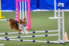 2023-AADTC-April-Trial-1940