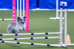 2023-AADTC-April-Trial-1943