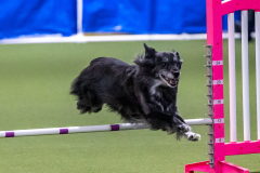 2023-AADTC-April-Trial-1946