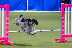 2023-AADTC-April-Trial-1947