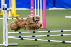 2023-AADTC-April-Trial-1952