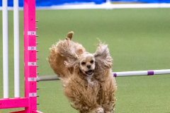 2023-AADTC-April-Trial-1954