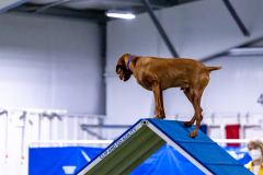 2023-AADTC-April-Trial-196