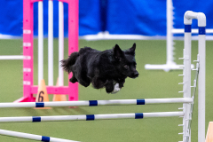 2023-AADTC-April-Trial-1961