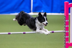 2023-AADTC-April-Trial-1963