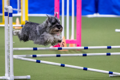 2023-AADTC-April-Trial-1967