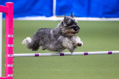 2023-AADTC-April-Trial-1968