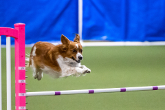 2023-AADTC-April-Trial-1971