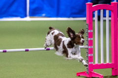 2023-AADTC-April-Trial-1973