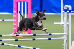 2023-AADTC-April-Trial-1974