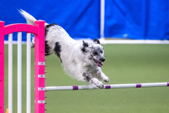 2023-AADTC-April-Trial-1981