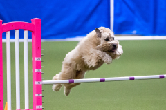 2023-AADTC-April-Trial-1983