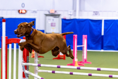 2023-AADTC-April-Trial-201