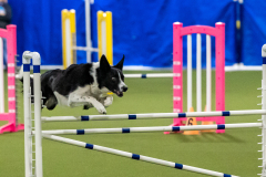 2023-AADTC-April-Trial-2013