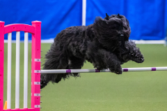 2023-AADTC-April-Trial-2020