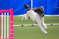 2023-AADTC-April-Trial-2023