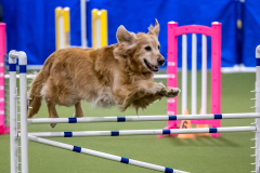 2023-AADTC-April-Trial-2024