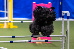 2023-AADTC-April-Trial-2035