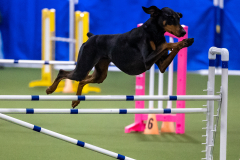 2023-AADTC-April-Trial-2037