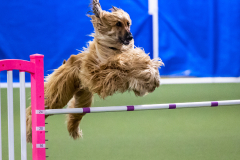 2023-AADTC-April-Trial-2041