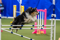 2023-AADTC-April-Trial-2042