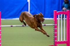 2023-AADTC-April-Trial-2045