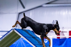 2023-AADTC-April-Trial-205