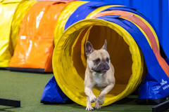 2023-AADTC-April-Trial-2059