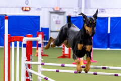 2023-AADTC-April-Trial-206