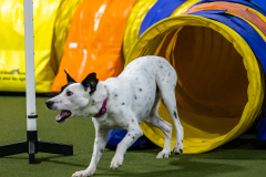 2023-AADTC-April-Trial-2064