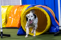 2023-AADTC-April-Trial-2070