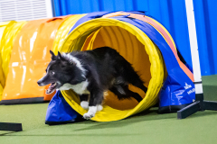 2023-AADTC-April-Trial-2072