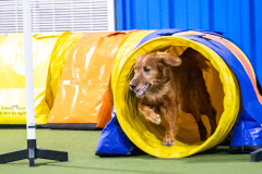 2023-AADTC-April-Trial-2075