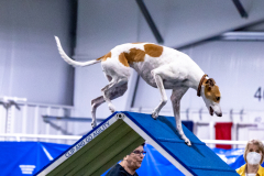 2023-AADTC-April-Trial-209