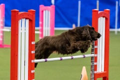 2023-AADTC-April-Trial-2100