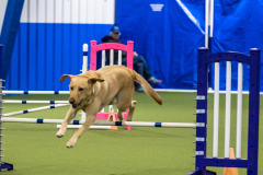 2023-AADTC-April-Trial-2104