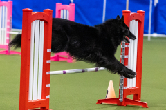 2023-AADTC-April-Trial-2106