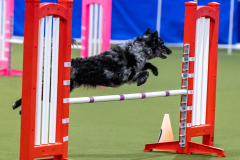 2023-AADTC-April-Trial-2110