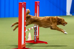 2023-AADTC-April-Trial-2112