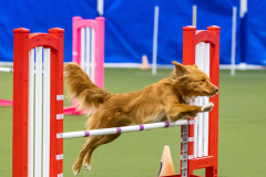 2023-AADTC-April-Trial-2113