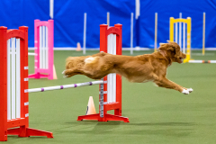 2023-AADTC-April-Trial-2114