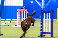 2023-AADTC-April-Trial-2117