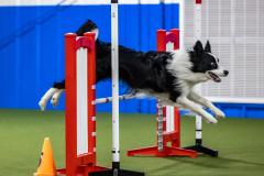 2023-AADTC-April-Trial-2123