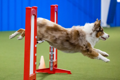 2023-AADTC-April-Trial-2124