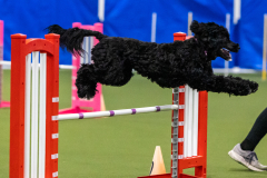 2023-AADTC-April-Trial-2128