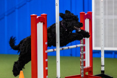 2023-AADTC-April-Trial-2129