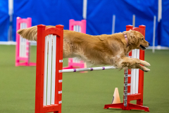 2023-AADTC-April-Trial-2130