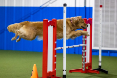 2023-AADTC-April-Trial-2131