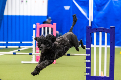 2023-AADTC-April-Trial-2137