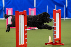 2023-AADTC-April-Trial-2138